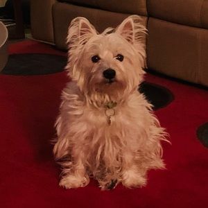 Meet your Posher, Justyna